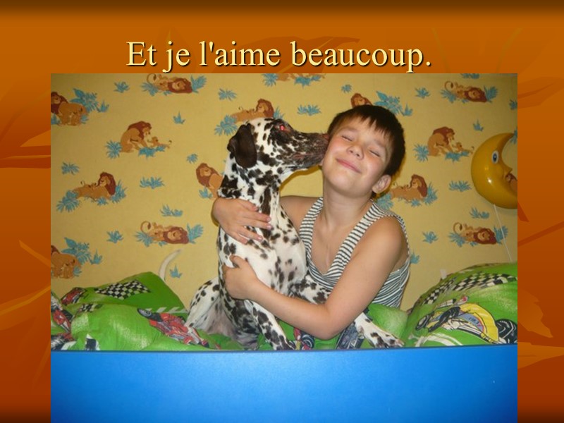 Et je l'aime beaucoup.